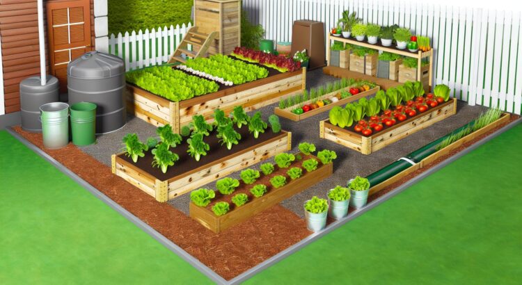 “Raised Bed Gardens: The Secret to Efficient and Sustainable Gardening at Home”